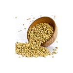 Green Daniya / Coriander
